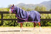 Navy Show Set + Surcingle with Double Purple Trims